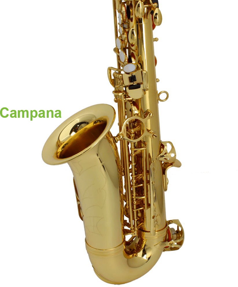 Curso Online De Saxofone